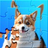 99视频